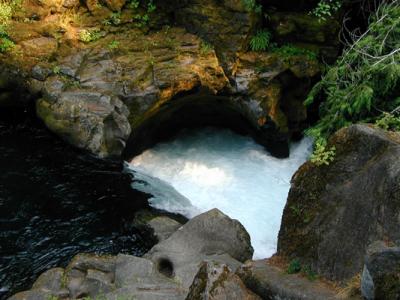 Above Toketee Falls