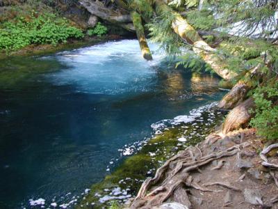 McKenzie River