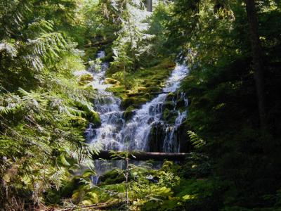 Upper Proxy Falls