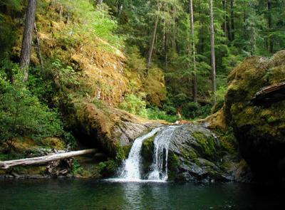 Oregon Cascades Summer 2003