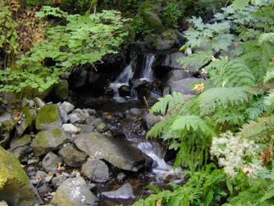 Wahkeena Creek