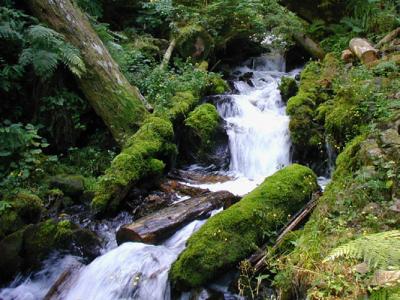 Wahkeena Creek