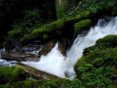Wahkeena Creek
