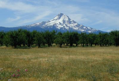 Mount Hood