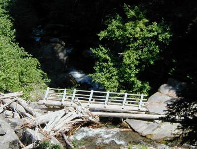 Bridge on the Tamanawas Falls Trail