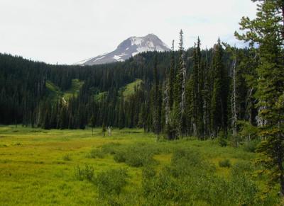Mount Hood Meadows