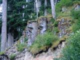 Tikis on Lost Lake Road