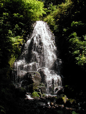 Fairy Falls