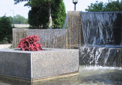 Coleus and Fountain