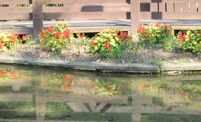 Garden Reflection