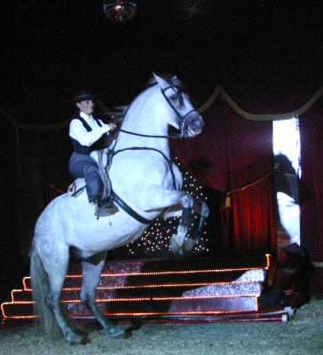 Dancing horse.