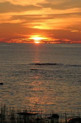 July 17:  Sailing home in sunset