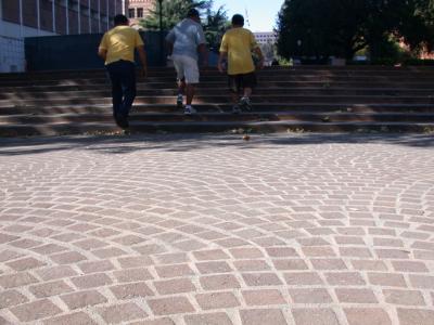 DSCN3654.jpg