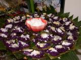 DSCN1261.jpg
