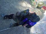 DSC00601.JPG