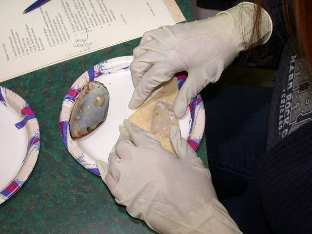 DSCN1269.jpg