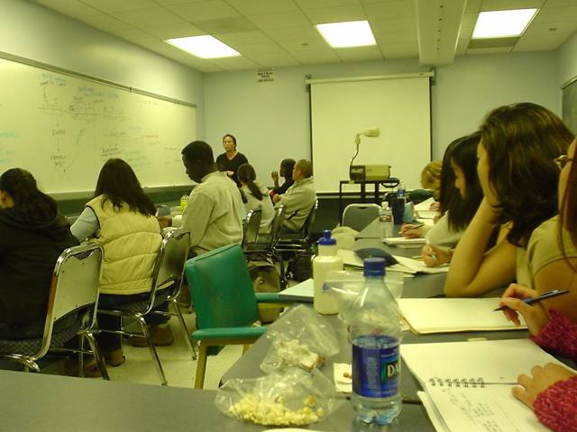 DSC00260.jpg