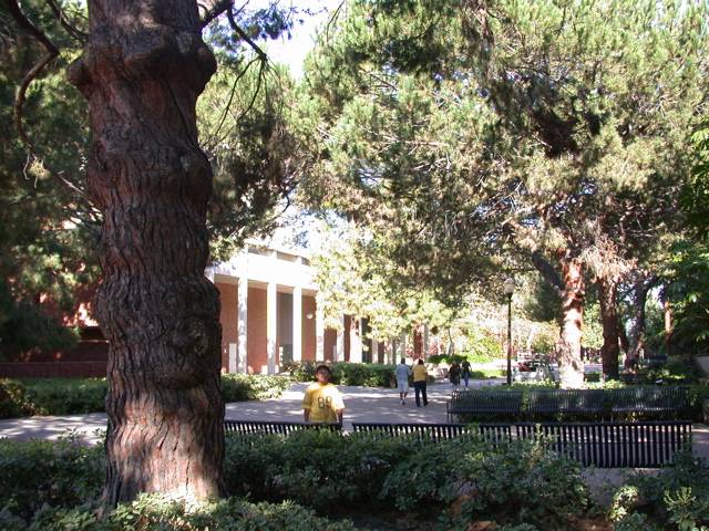 DSCN3650.jpg