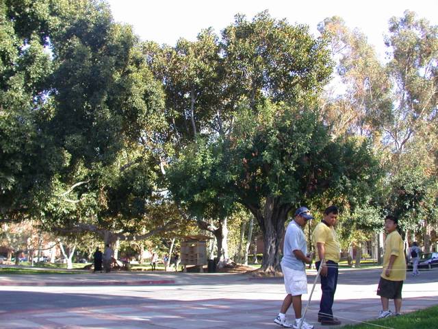 DSCN3659.jpg