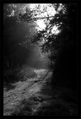 Alderley Edge