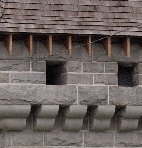 DSC_2521_crop.jpg