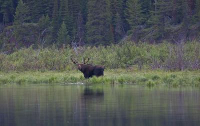 Glacier National Park