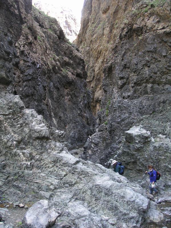 PICT1642.JPG