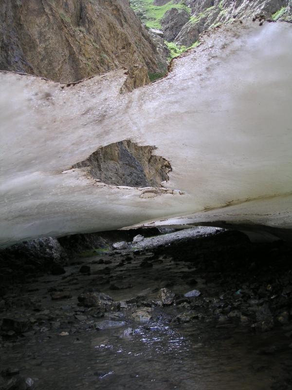 PICT1651.JPG