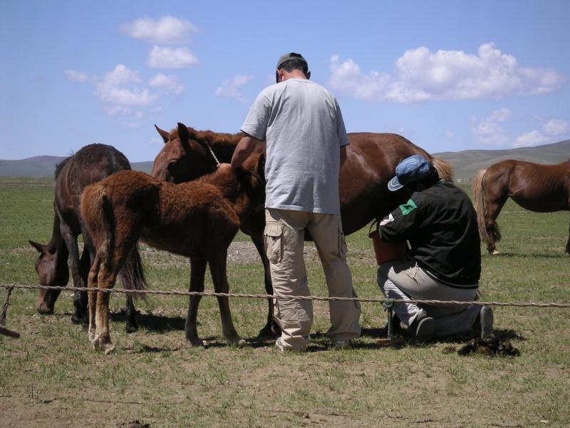 Milking time
