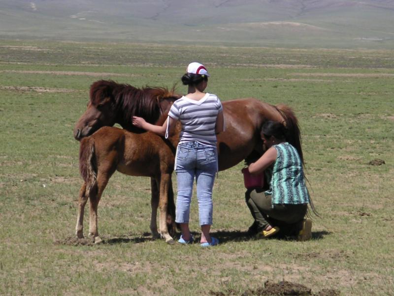 Milking time