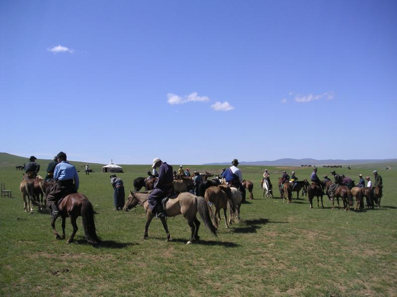 Horse race