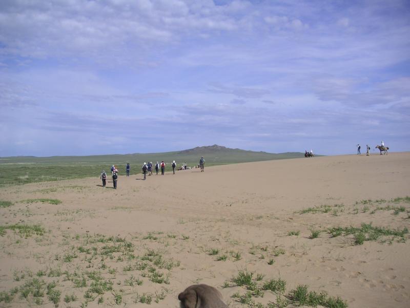 Follow those camels!
