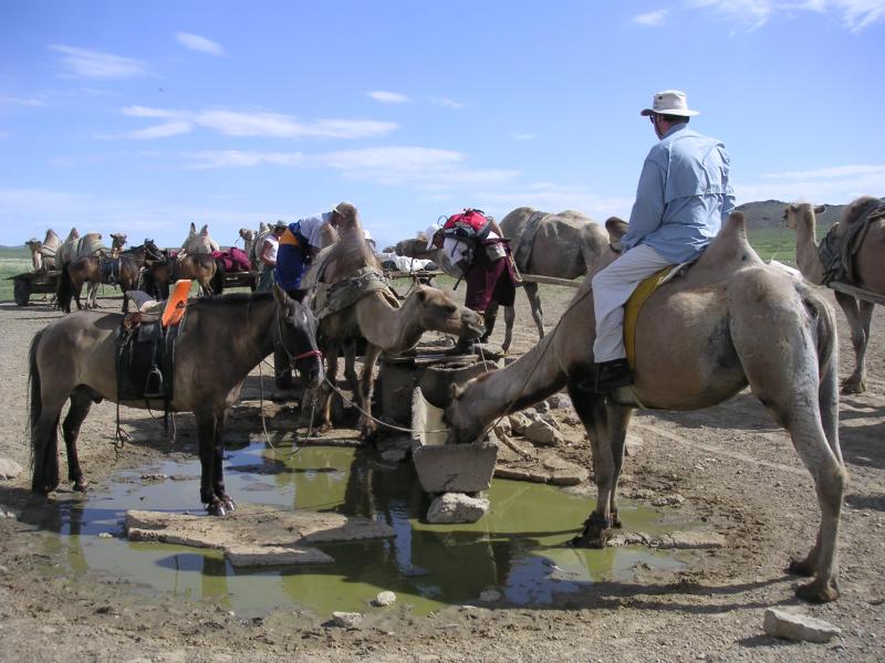 A drink for his camel