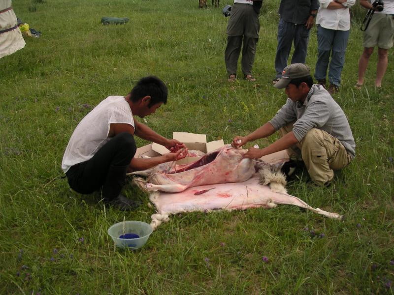 Then dissecting