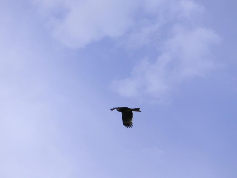 PICT1804.JPG