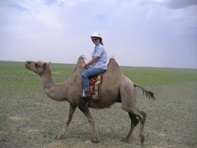 A short camel ride