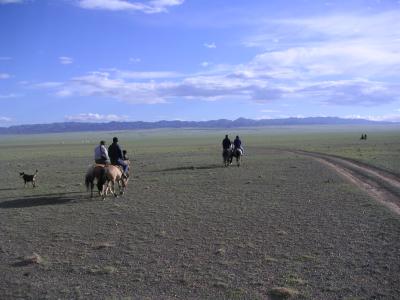On narrow Mongolian saddles