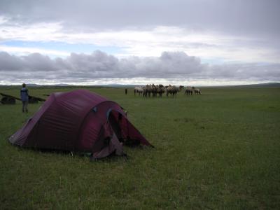 Arburd Sands Camel Trek