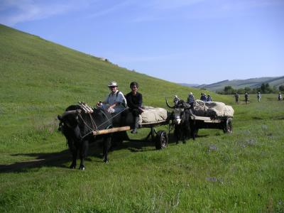 Peter rides with the yaks