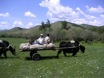 Jackie rides with the yaks