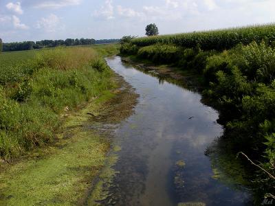 The land the sky the water.jpg(304)