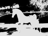 horsing around.jpg(496)