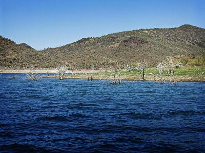 u32/mtf_foto_studies/medium/31269493.DesertEdgeLakeEdge.jpg