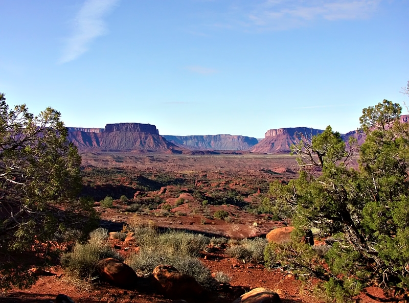 Desert Morning by jerrydd