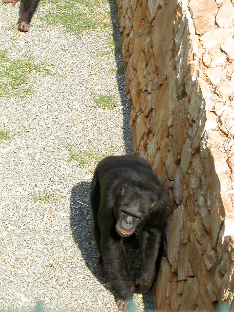 Fasano Zoo