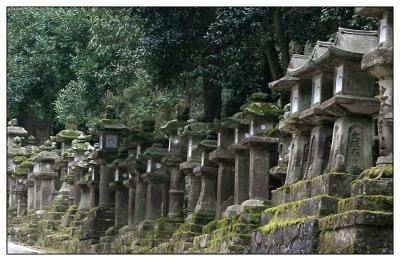 Nara Kasuga Taisha lamps