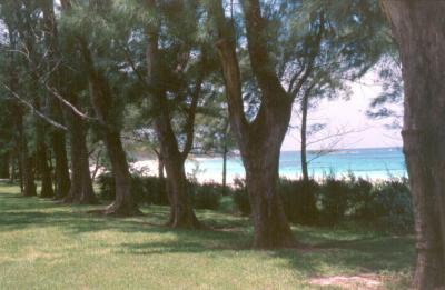 u32/ngruev/medium/31629064.Bahamas027.jpg