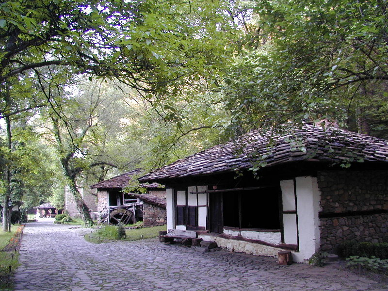 sP7281949.JPG