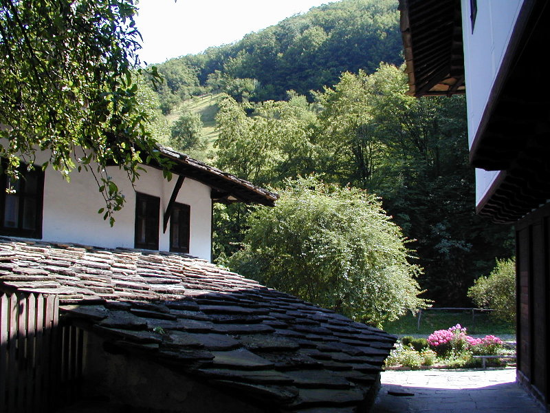 sP7291992.JPG