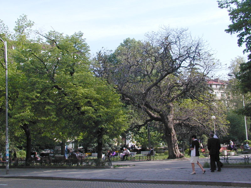 sP5051441.JPG